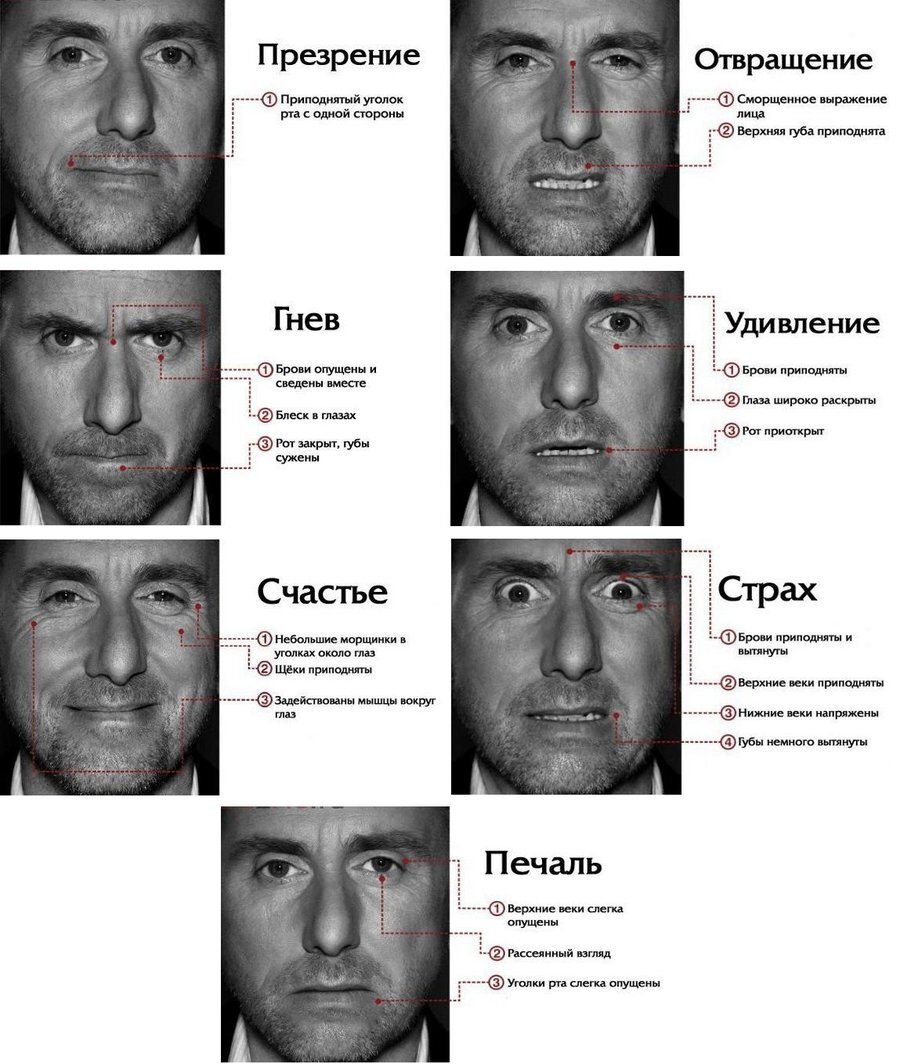 определение вида по фотографии