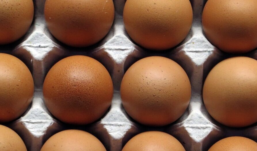 Как обычные куриные яйца помогают избавиться от жирных складок на теле