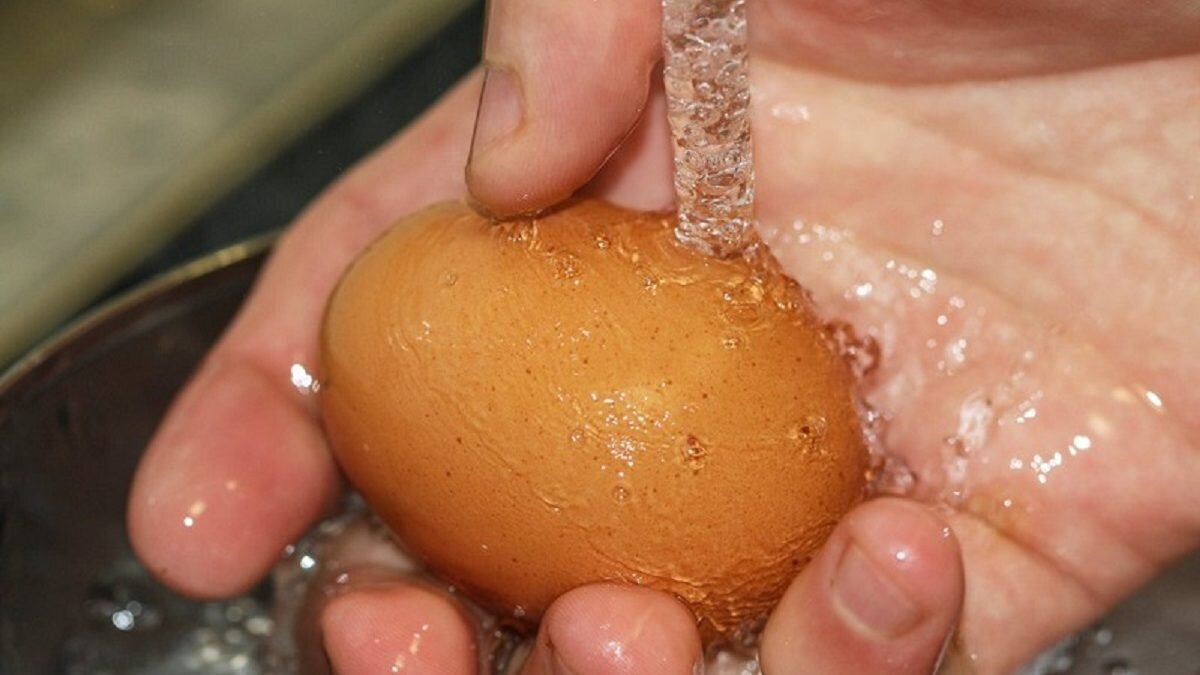 Так мыть или не мыть куриные яйца после покупки?