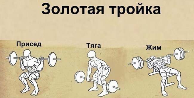 В базовых упражнениях можно использовать тяжёлые снаряды, чтобы наращивать мышечную массу и развивать силу. 