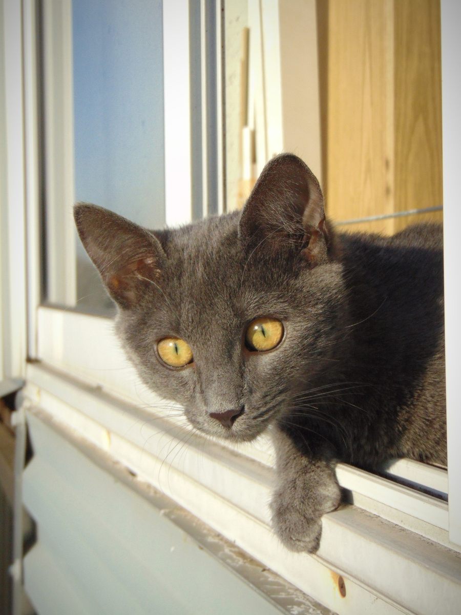 Шурочка на балконе. Фото из личного архива.