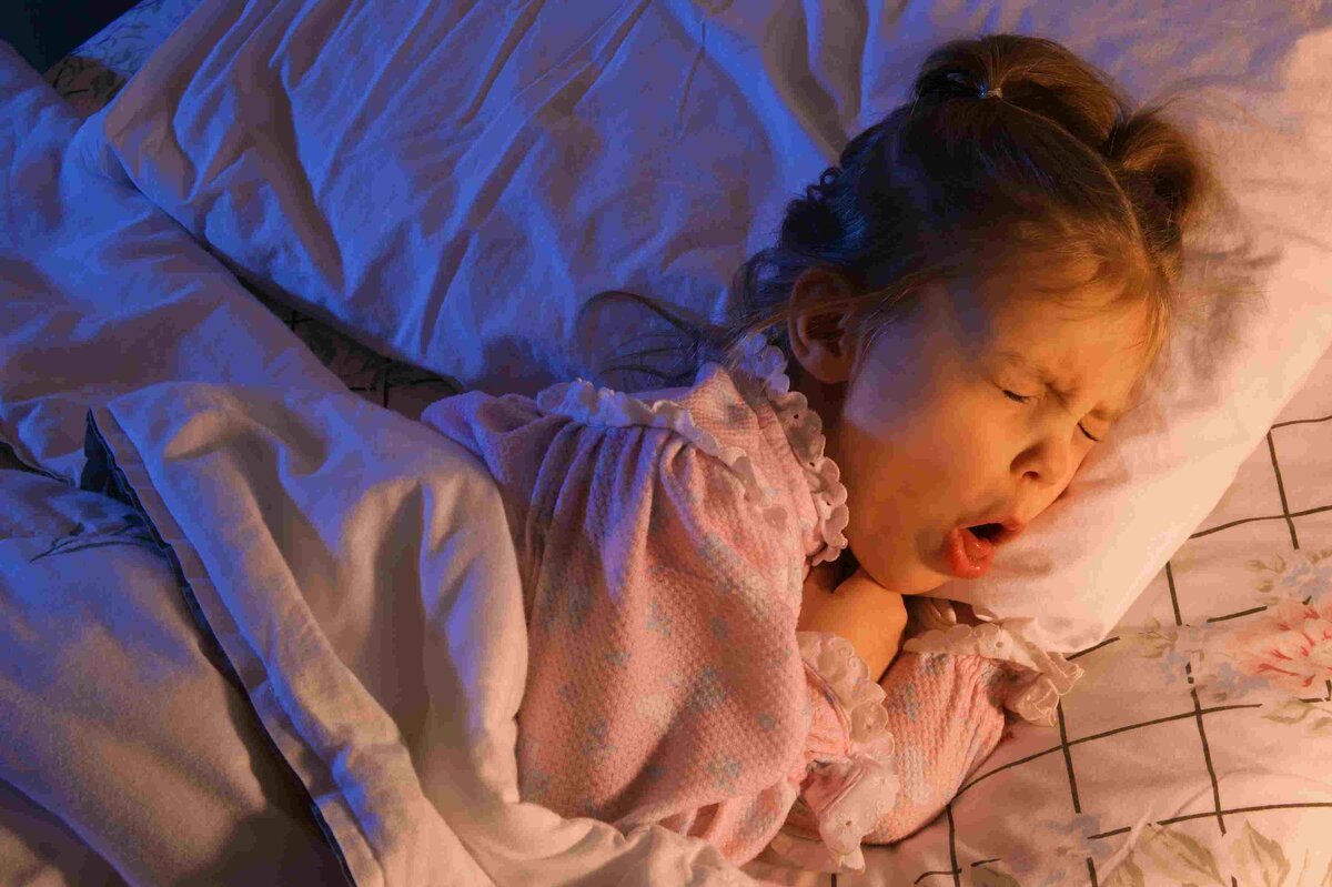 Источник фото: Яндекс Картинки