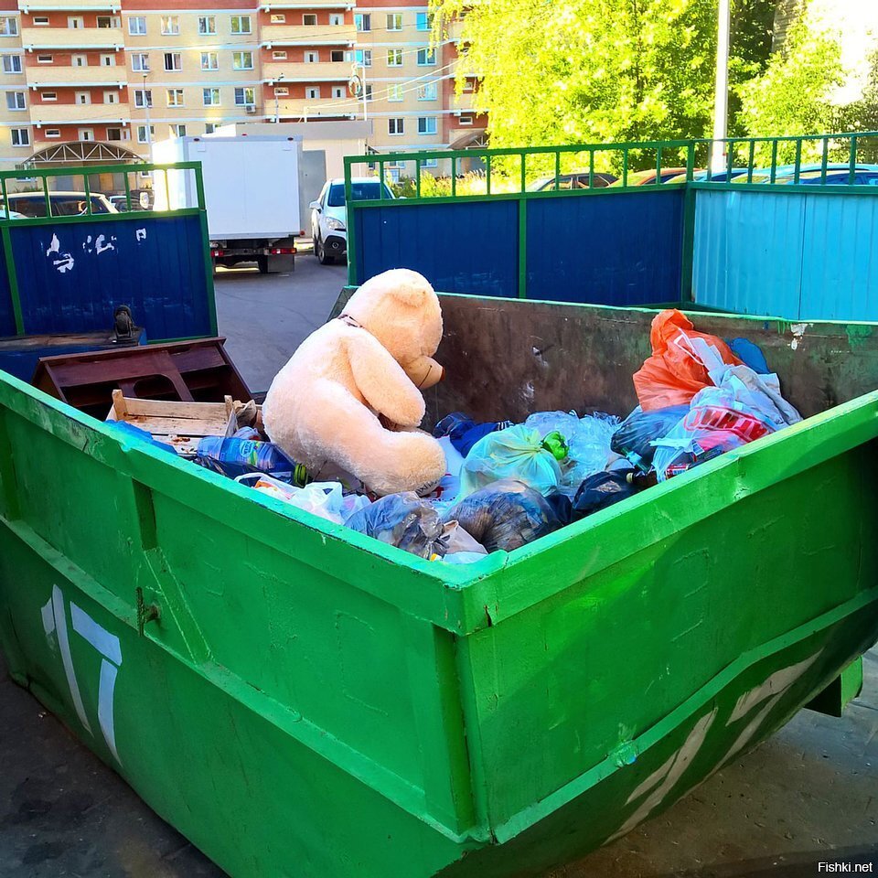 Фото из открытых источников