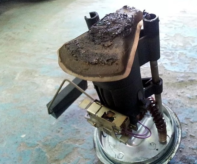 Фото позаимствовано из интернета.