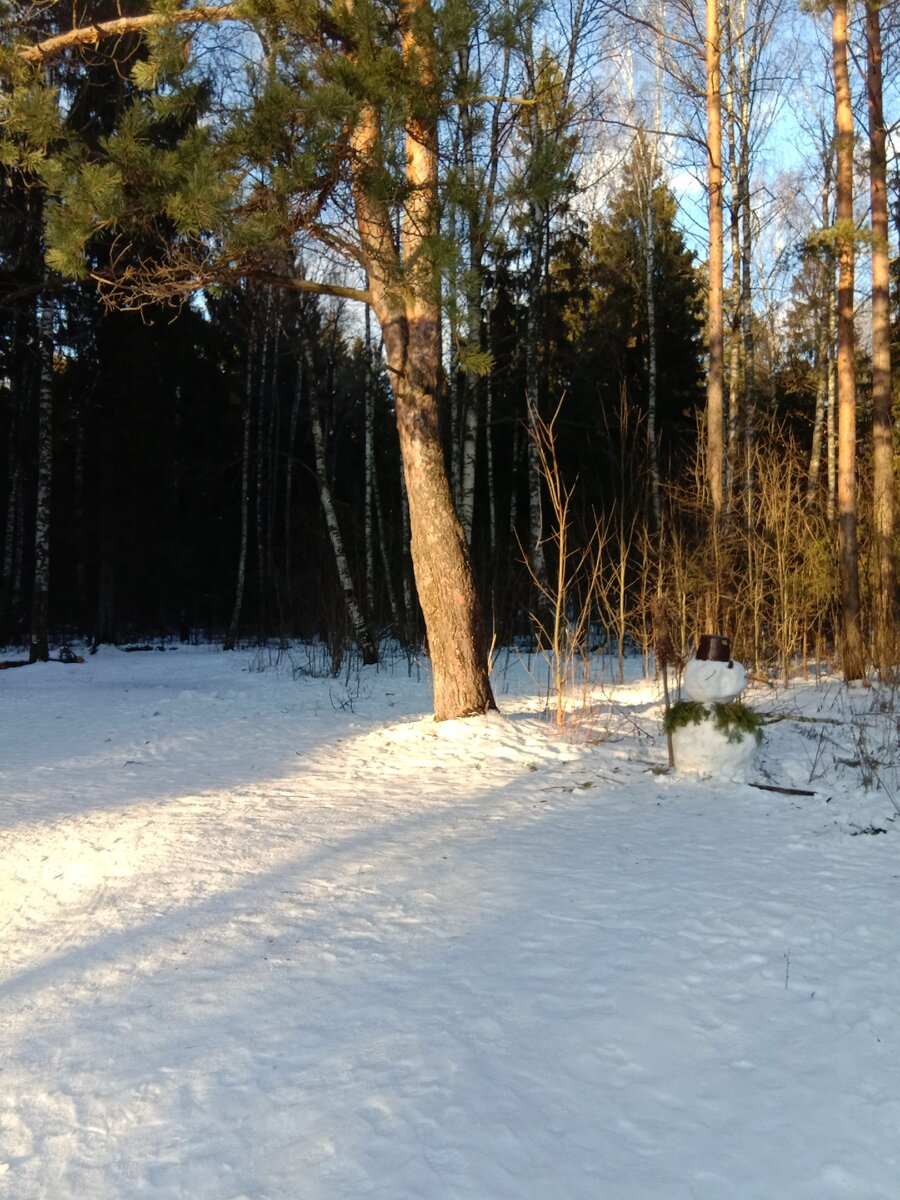 Солнечный день зимой