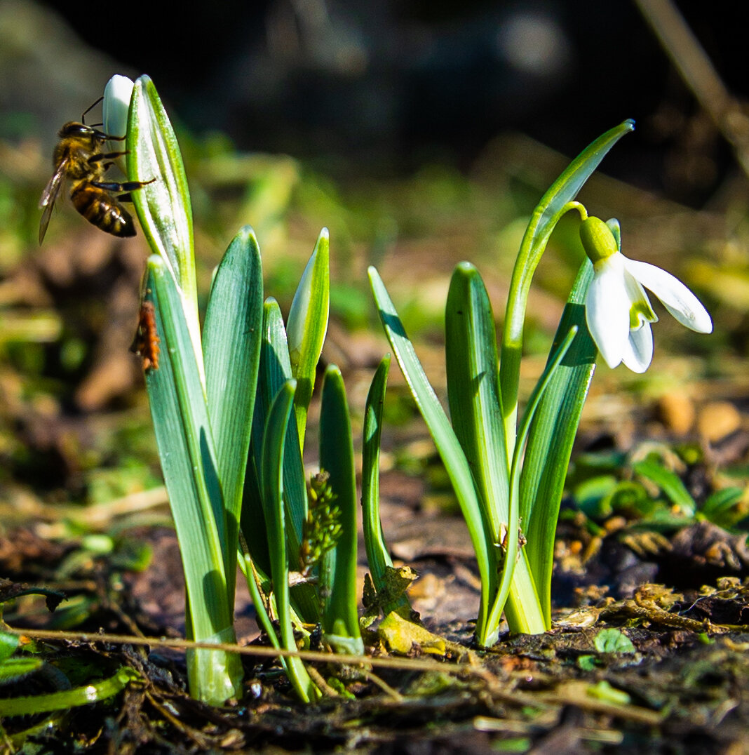 Фото из собственного архива 
