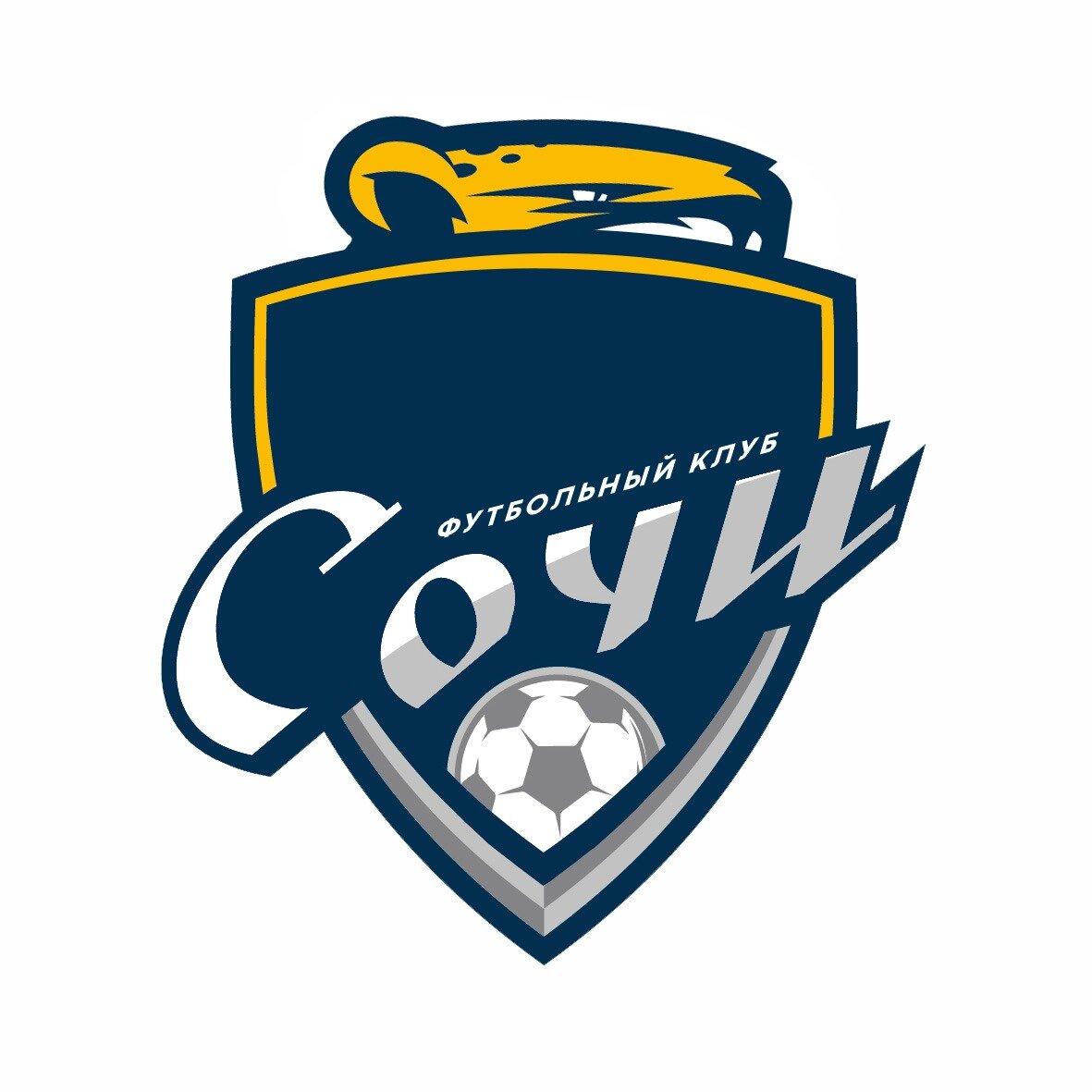 Использовано изображение официального твиттера  ФК "Сочи".