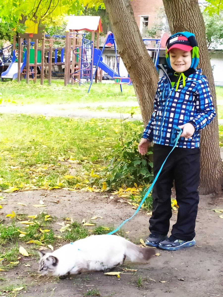 Сентябрь месяц. Во дворе.