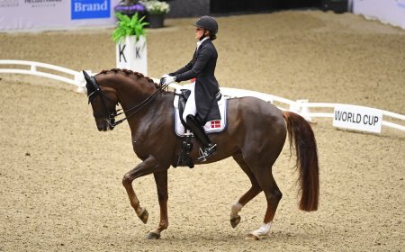 На фото: Катрин Дюфор и Bohemian в Хернинге 
