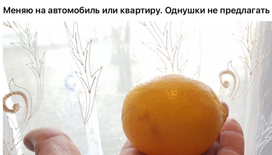 Фото из группы в ВК. Скрин с экрана.