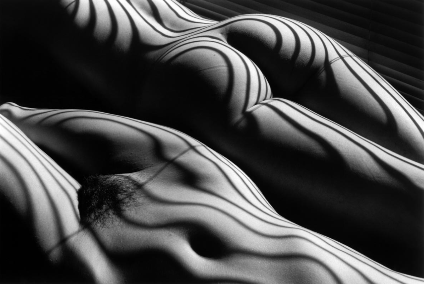 Серия "Обнаженные зебры". Л.Клерг, 2005 г.