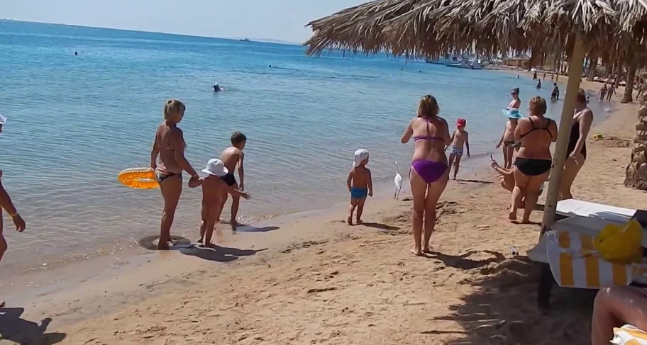 Фотография взята из источника youtube.com
