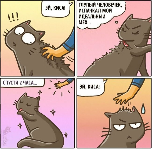 Идеально чистая шерстка.