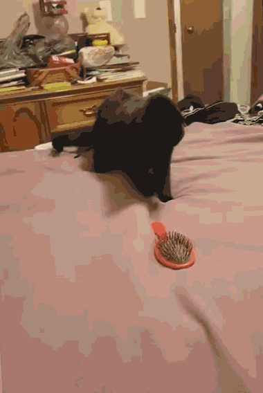 Нажмите на треугольник и картинка задвигается