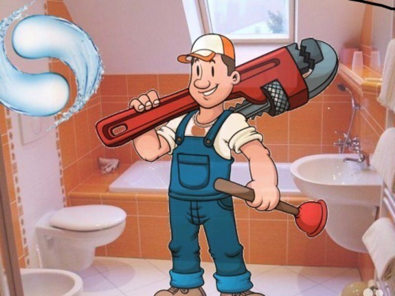 Симпатичный сантехник взят из Интернета