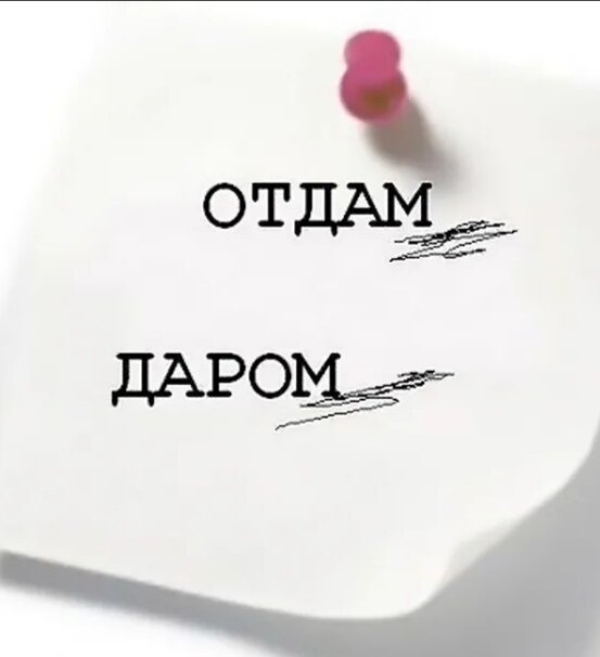 Картинка из интернета 