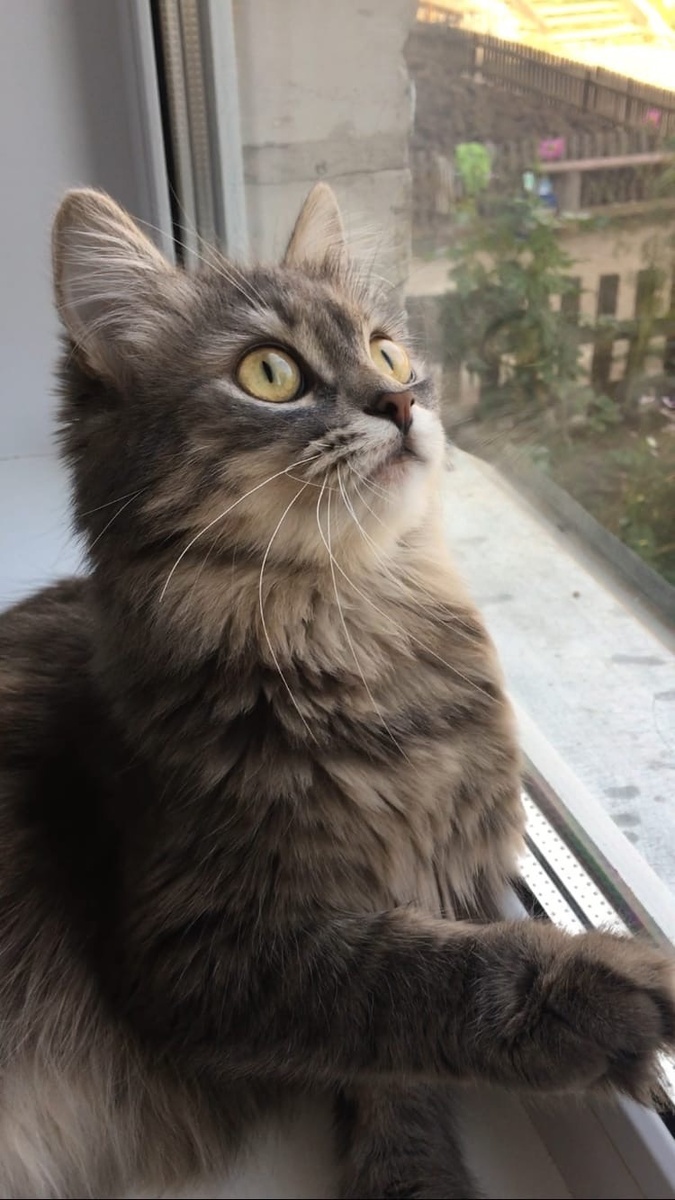 Это наша младшенькая