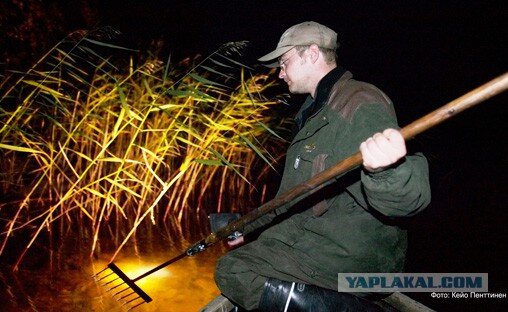Яндекс картинки