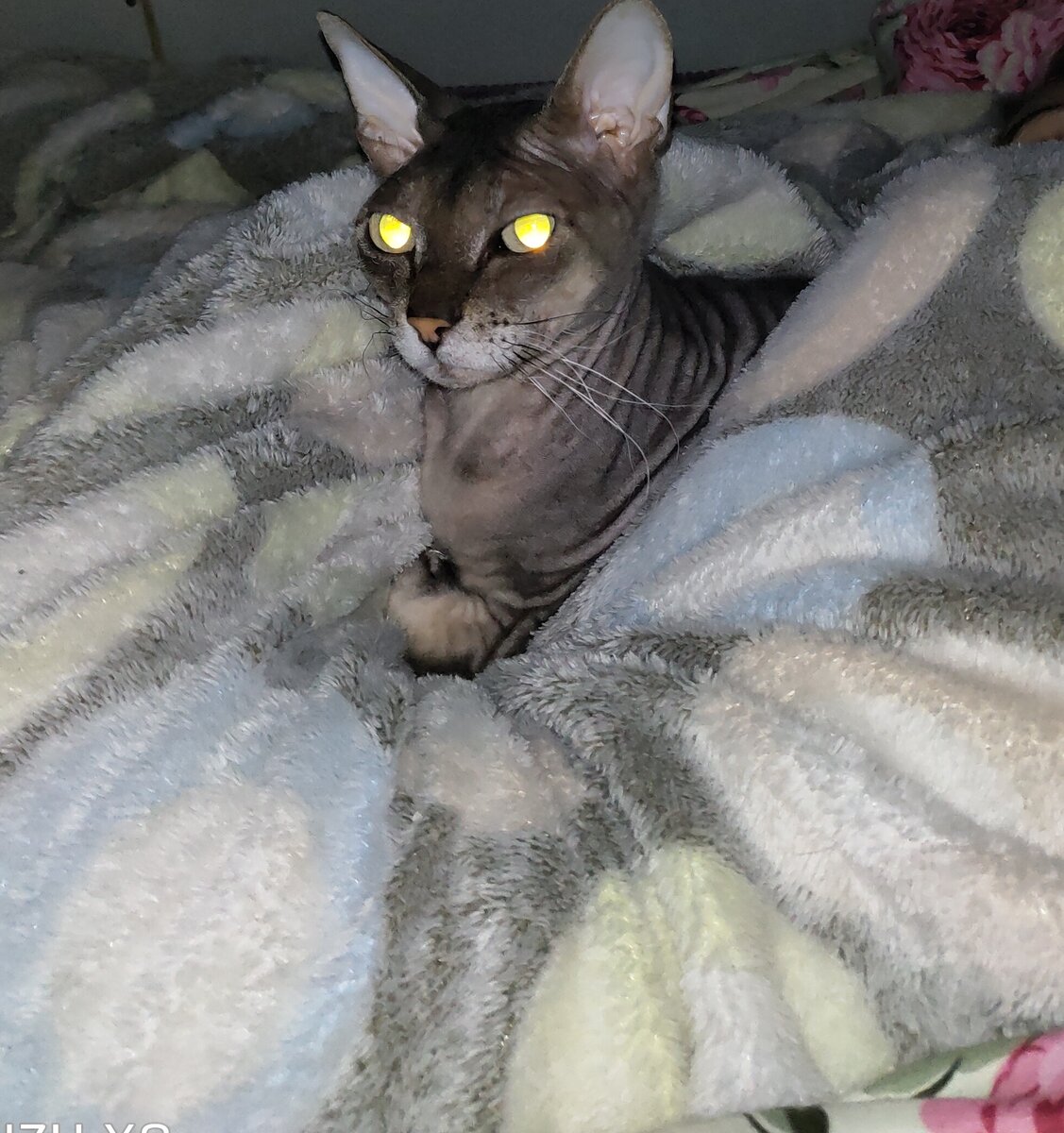 У моей ресницы всё же выросли)))