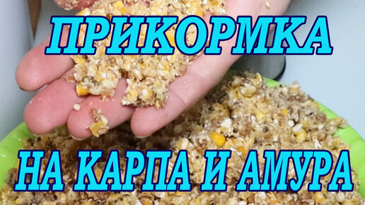 Прикормка для карпа: лучшие рецепты и особенности приготовления