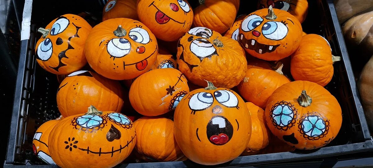 Фото: из открытых Интернет-источников