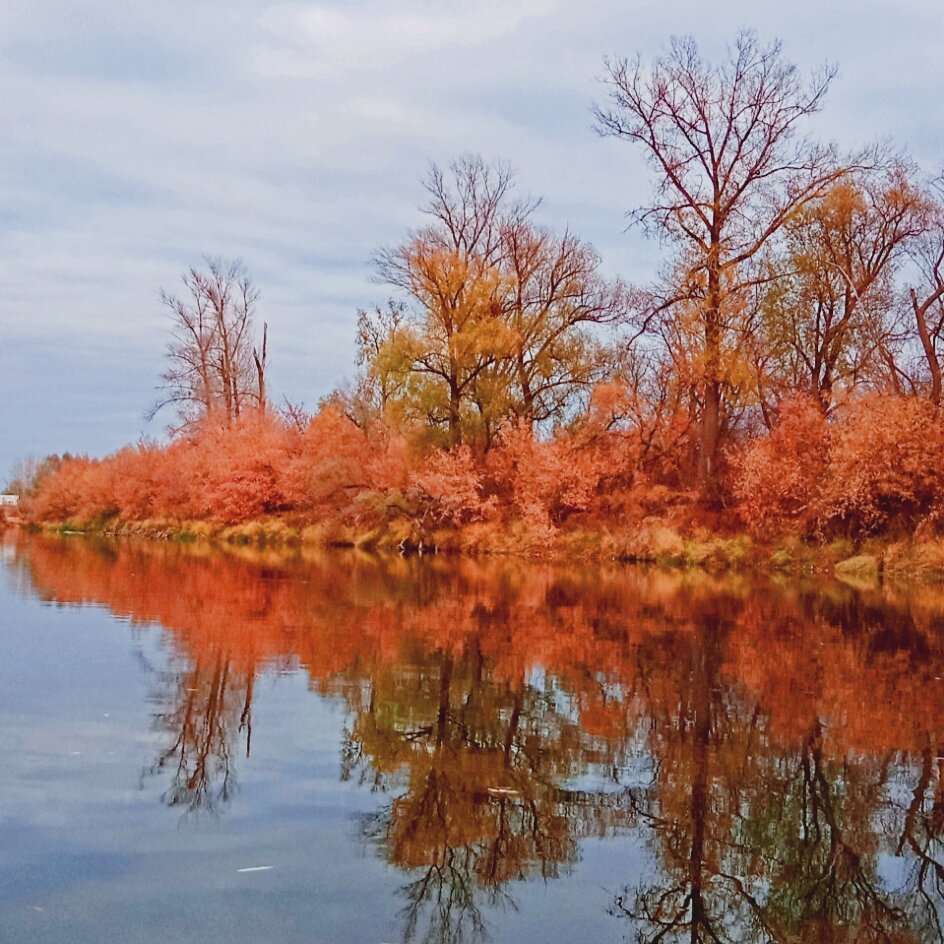 Краски осени!