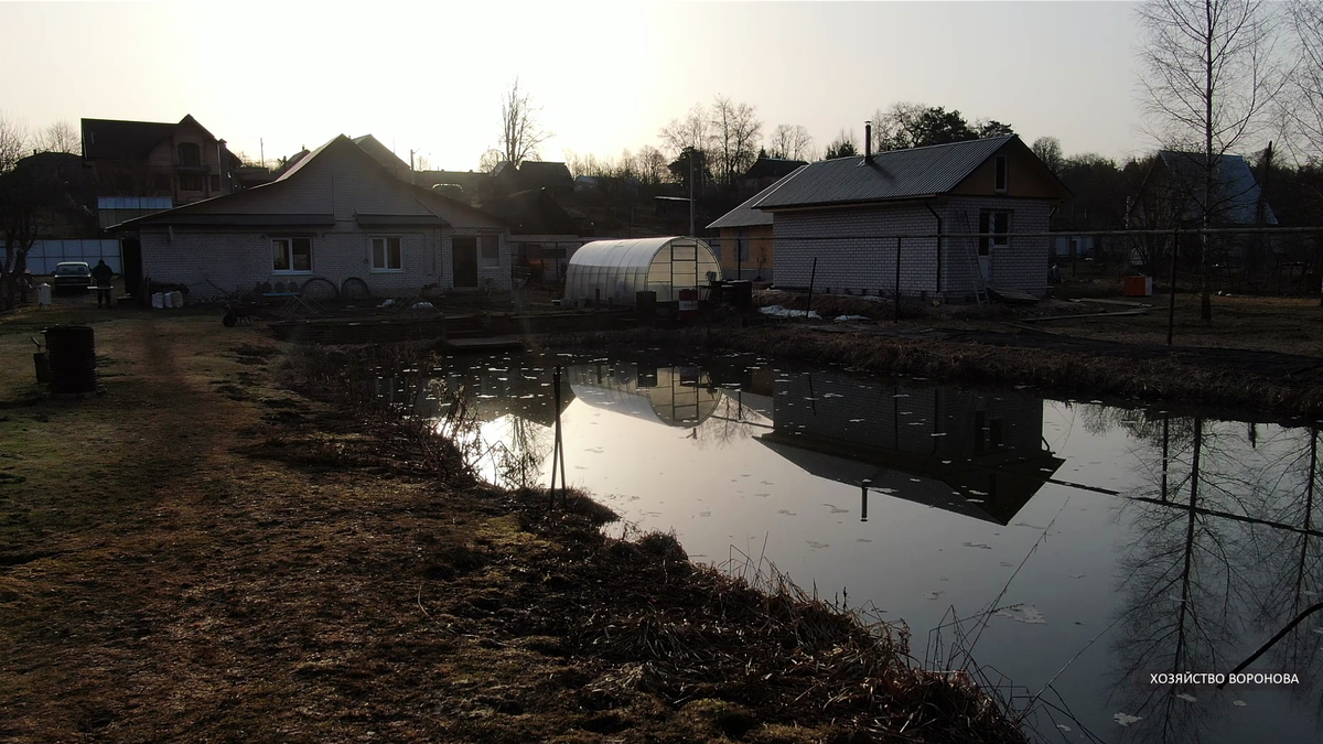 Пруд на участке