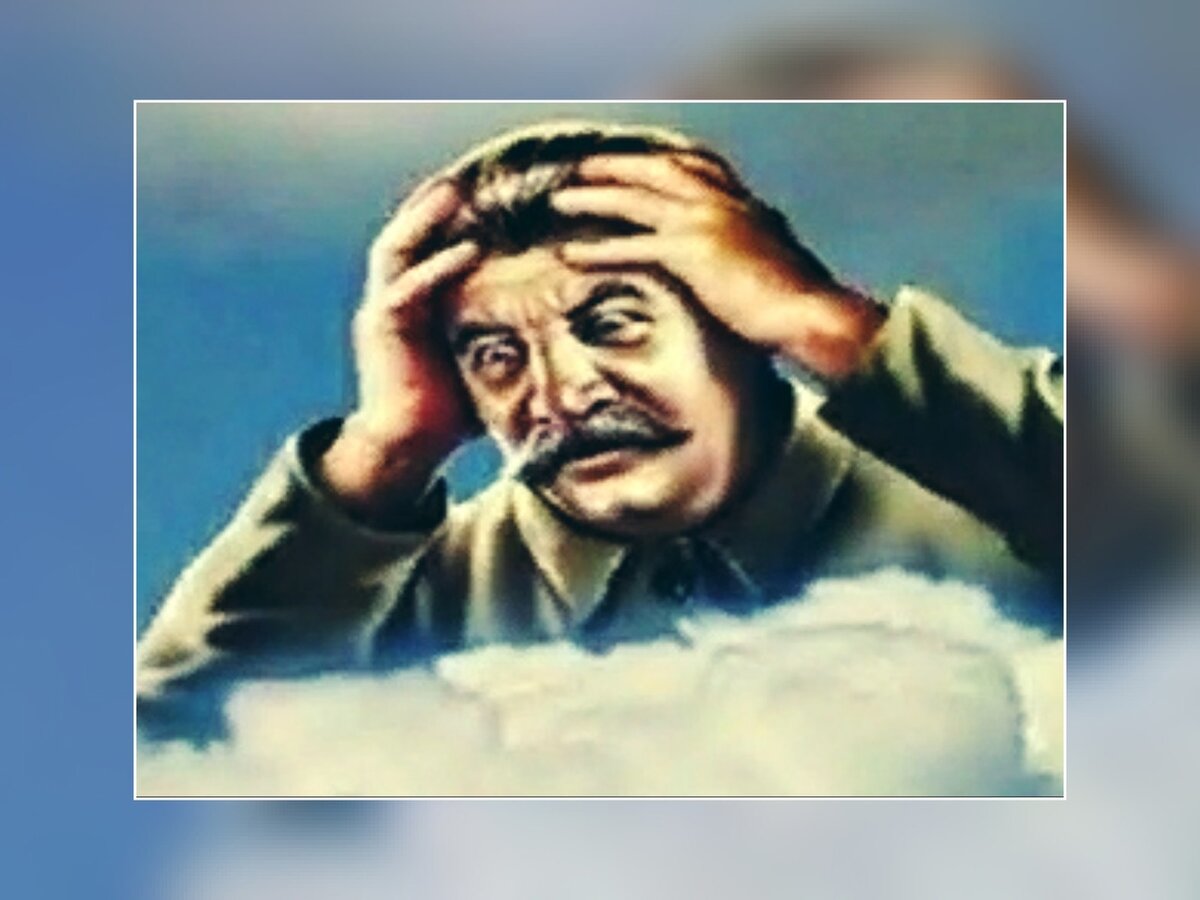 фото из открытого доступа