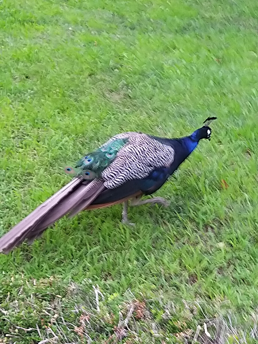 Фото автора