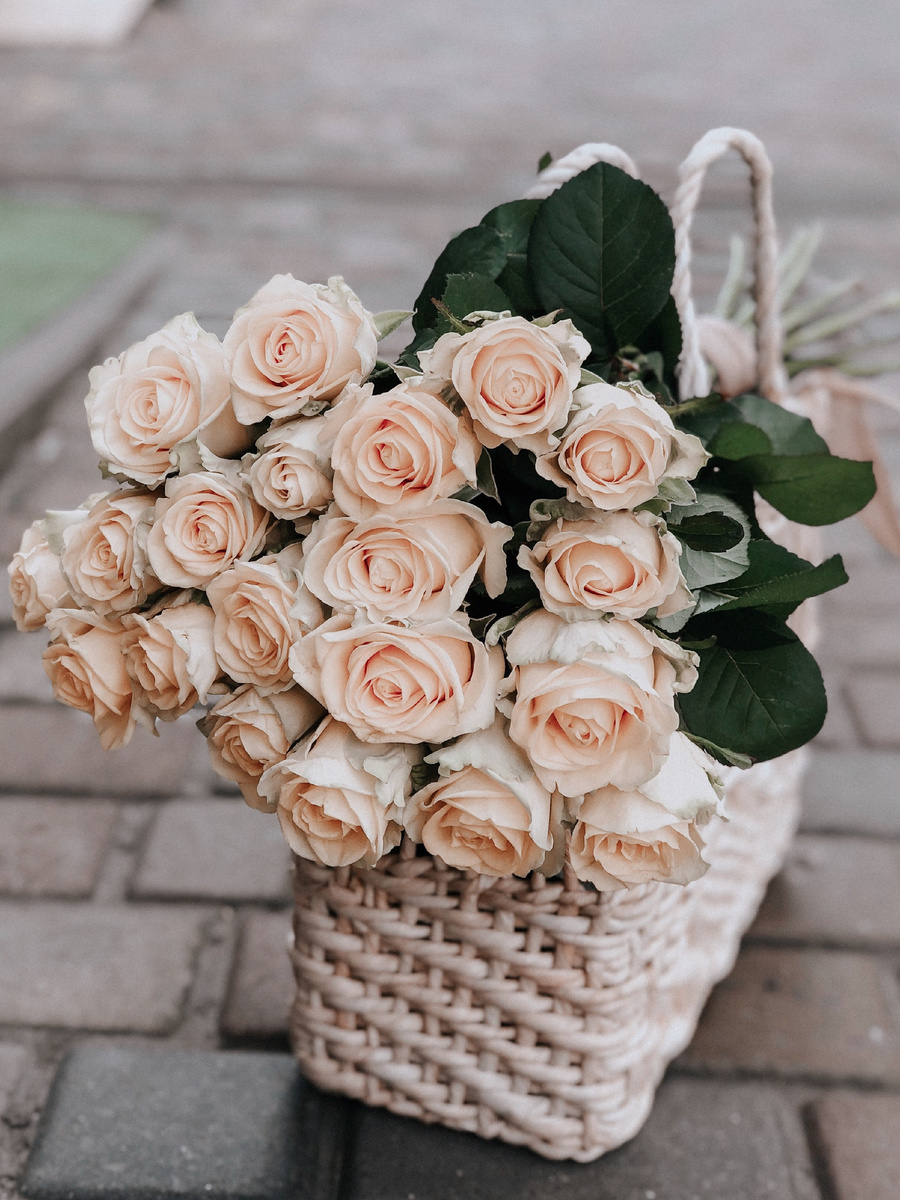 Photo by rock earth on Unsplash