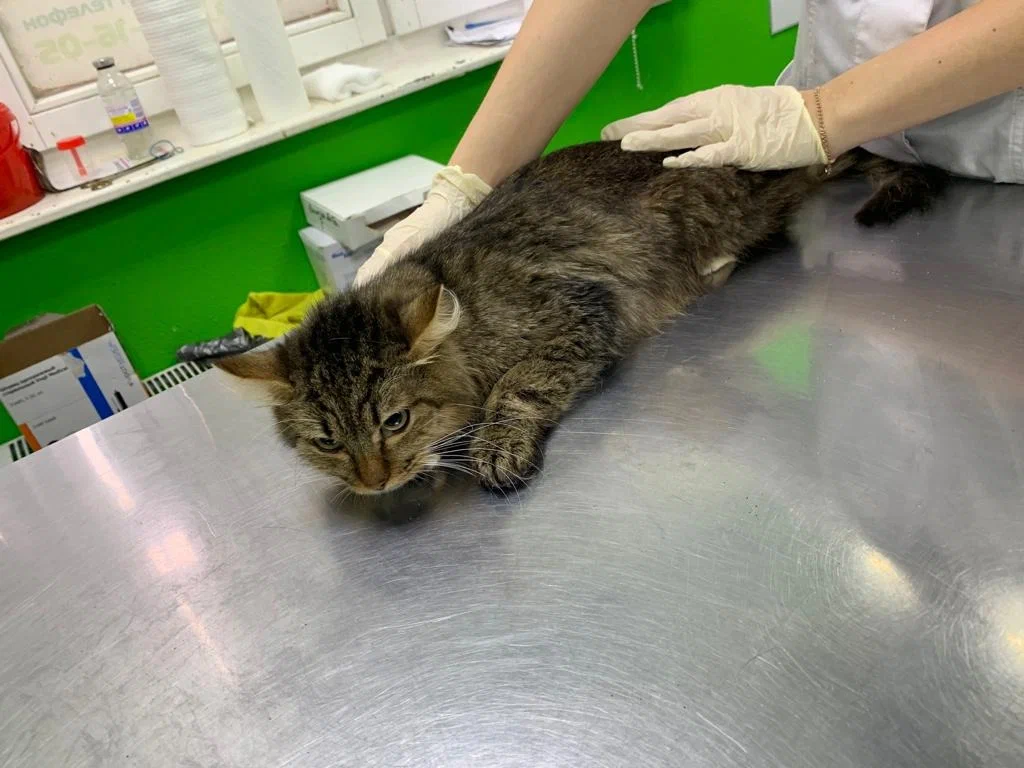 Фото старое