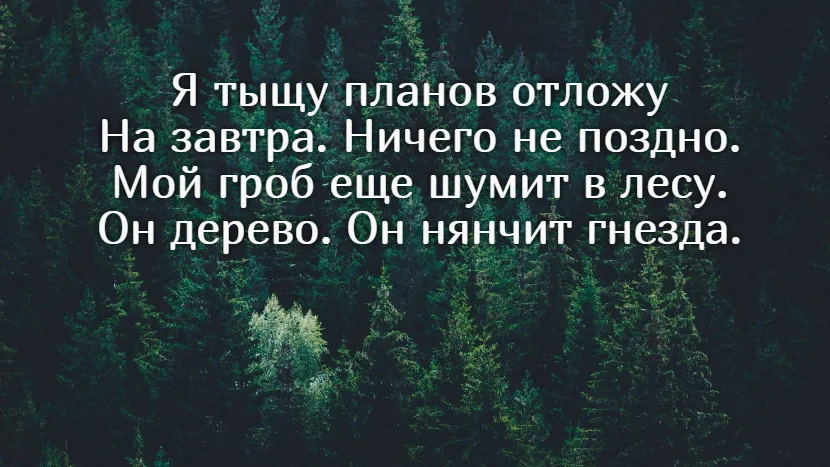 Мой гроб ЕЩЁШУМИТ В лесу он дерево он нянчит гнезда. Мой гроб ещё шумит в лесу стих. Я тыщу планов отложу. Я тыщу планов отложу на завтра. Я тысячу слов готов