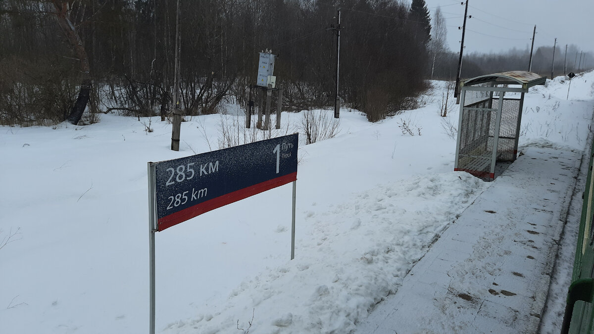 ОРАНЖЕВОЕ НАСТРОЕНИЕ. ПОЕЗДКА МОСКВА - ВЕЛИКИЕ ЛУКИ - ОСТАШКОВ - БОЛОГОЕ -  МОСКВА. ЧАСТЬ 1 | Московский Компас | Дзен