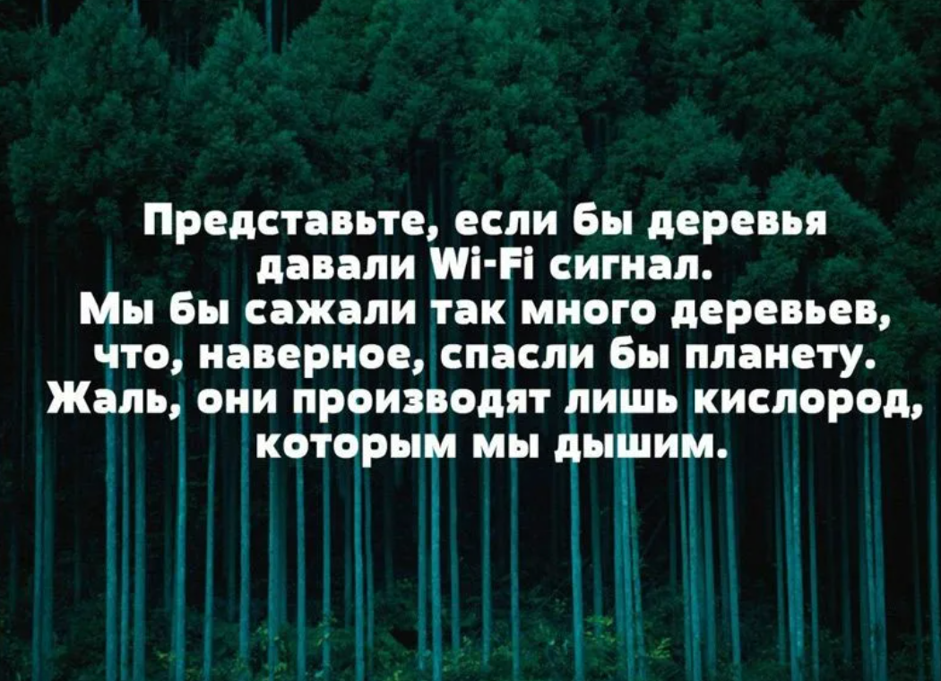 Лес цитаты. Высказывания о природе и человеке. Цитаты про лес. Цитаты про природу. Афоризмы о природе.