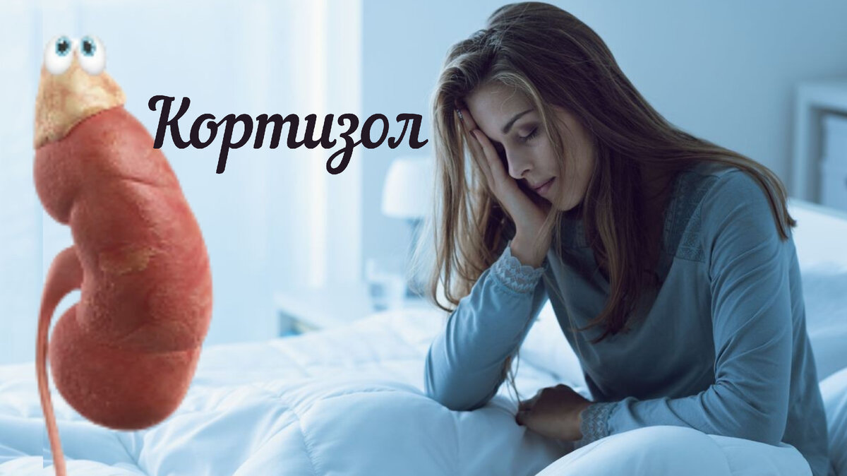 Кроме того, чтобы узнать, действительно ли ваши надпочечники «устали», можно пройти следующий тест, ответив на ряд вопросов в комментариях к статье.