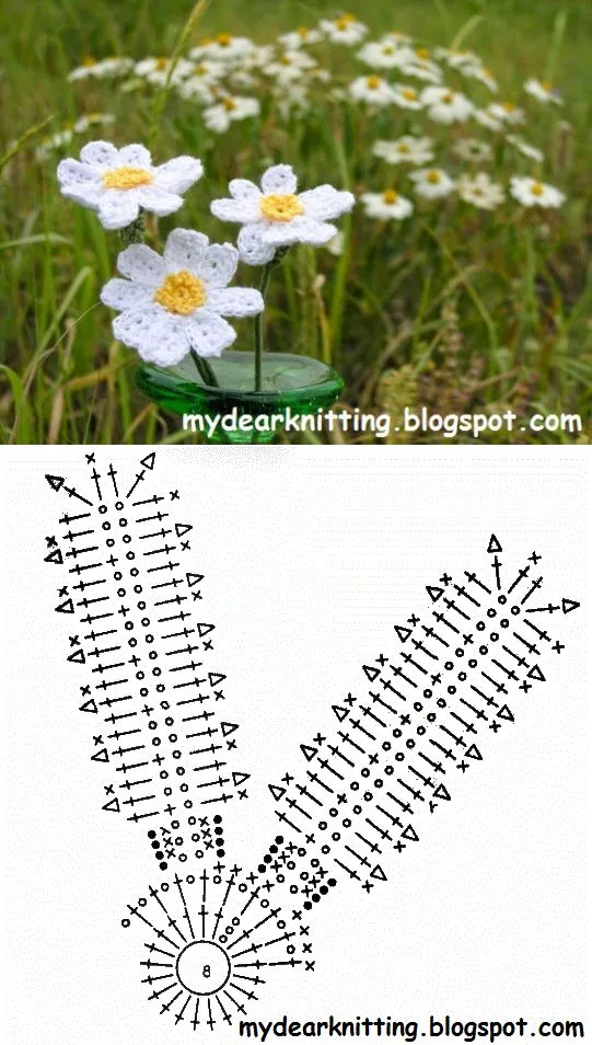 Схема вязания ромашки крючком