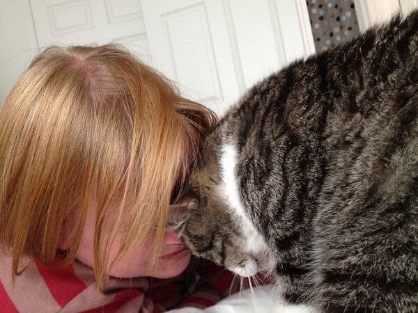 Фото из Интернета.