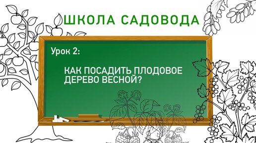 Посадка плодового саженца. Школа садовода. Урок 2