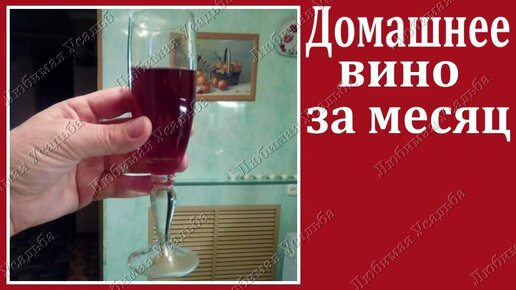 Домашнее вино из винограда: 14 простых рецептов с фото | Дачная кухня (trikotagmarket.ru)