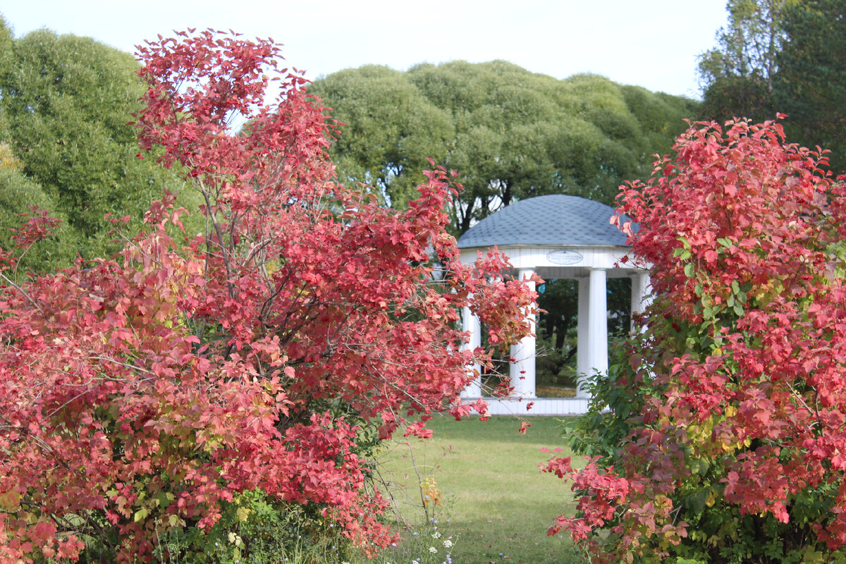 Фото автора. Рядом с гостиницей.