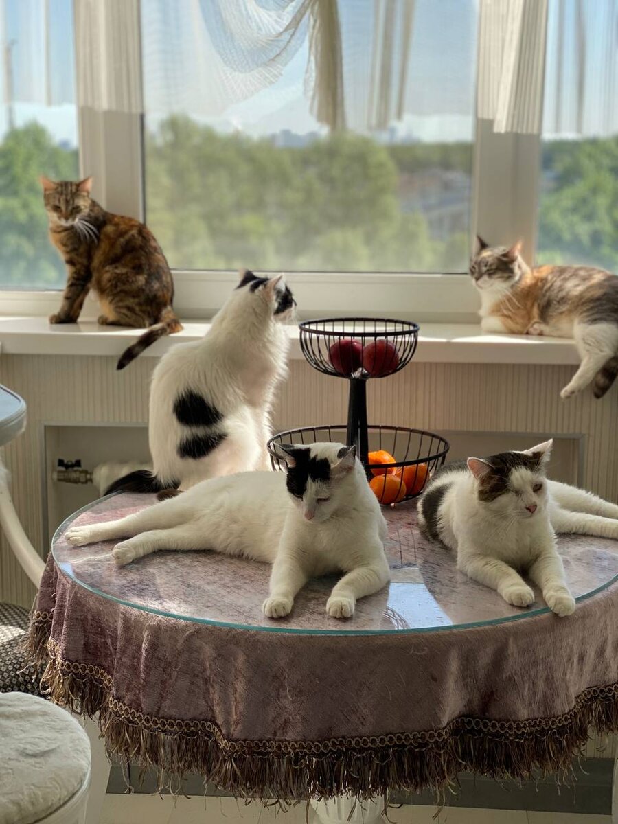 Излюбленное место