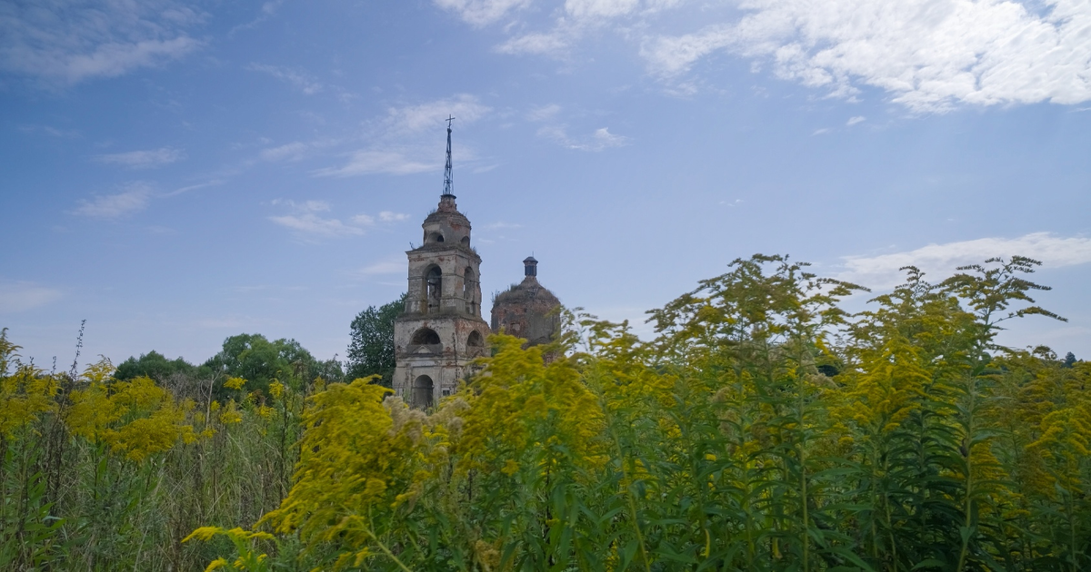 Кадр из фильма