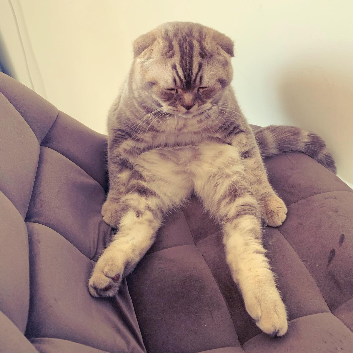 "За что?!"