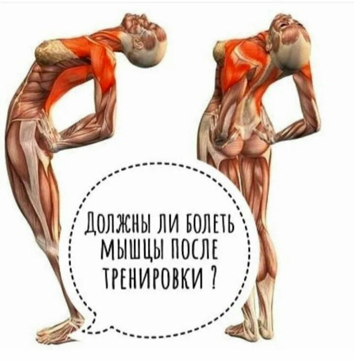 Сильные боли при нагрузке. Болят мышцы после тренировки. Мышцы после тренировки. После упражнений болят мышцы. Ломит мышцы после тренировки.