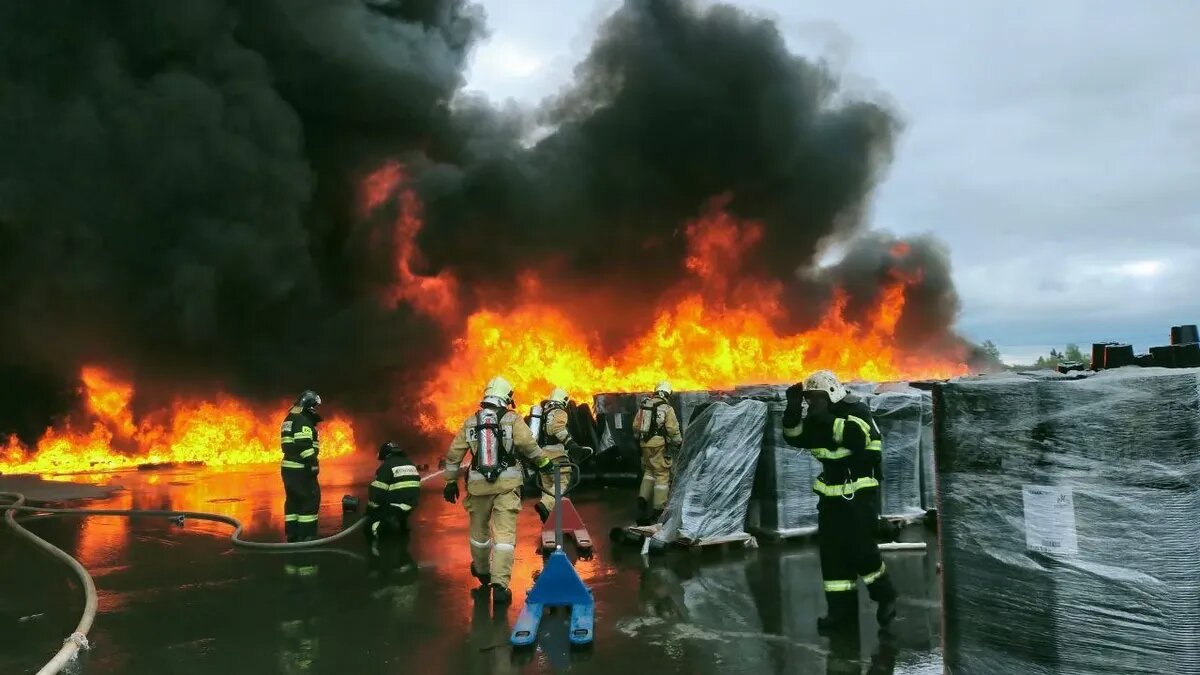 Фото: кадр из видео