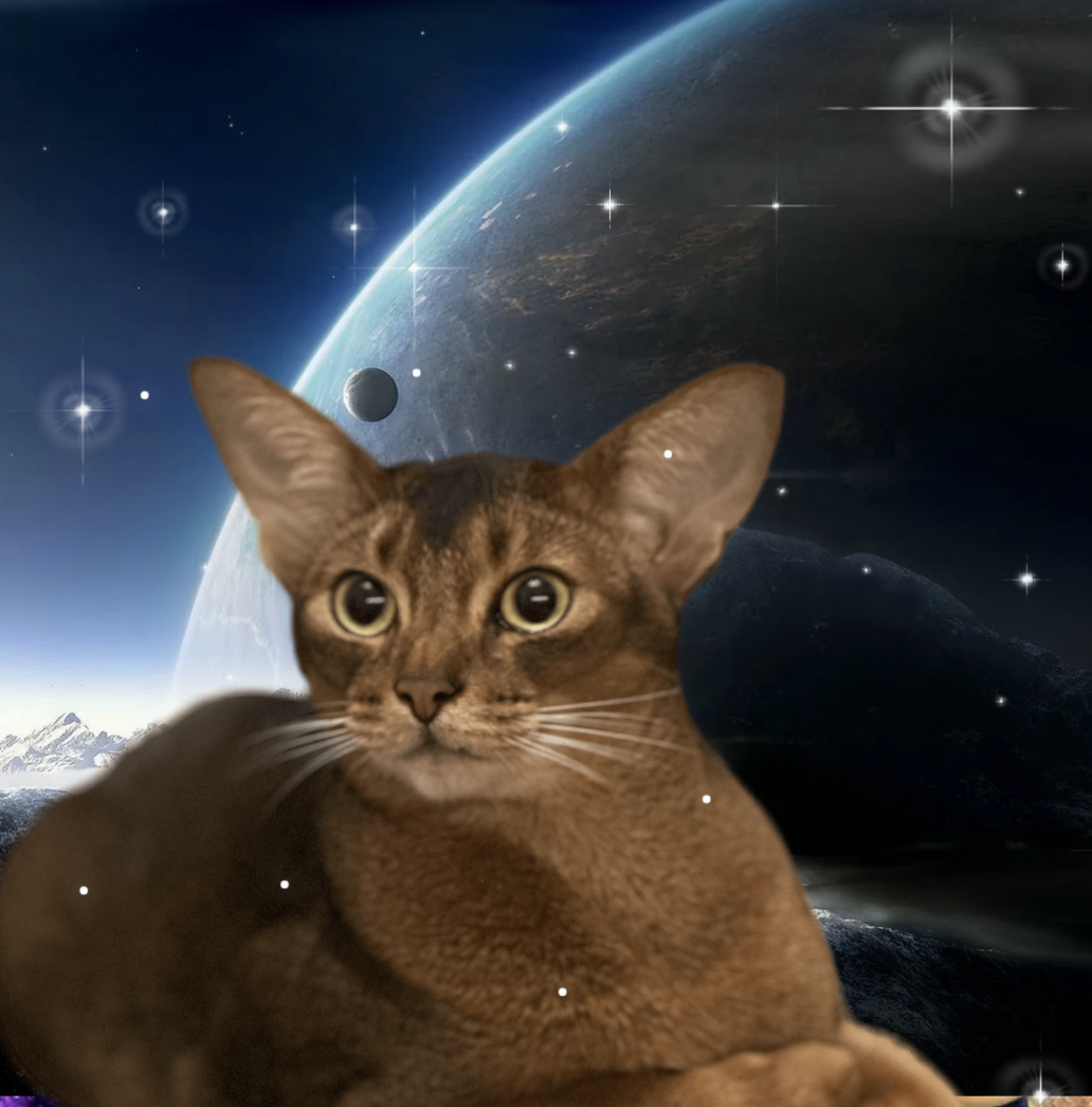 «На звёзды надейся, но сам не плошай!» — месье Кот уверен, что всё счастье сосредоточено в наших руках. Покормил котика — плюс в карму. 