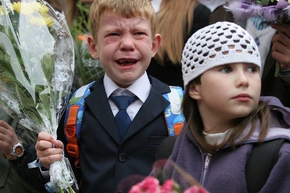 Яндекс.Картинки