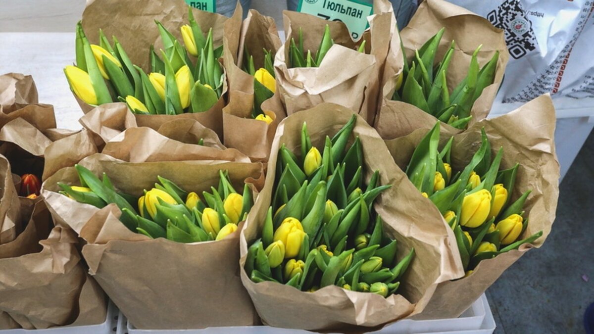     Приморские выпускники покупали своим учителям в основном китайские цветы. В середине мая КНР отгрузила в регионе больше 100 тысяч срезов.