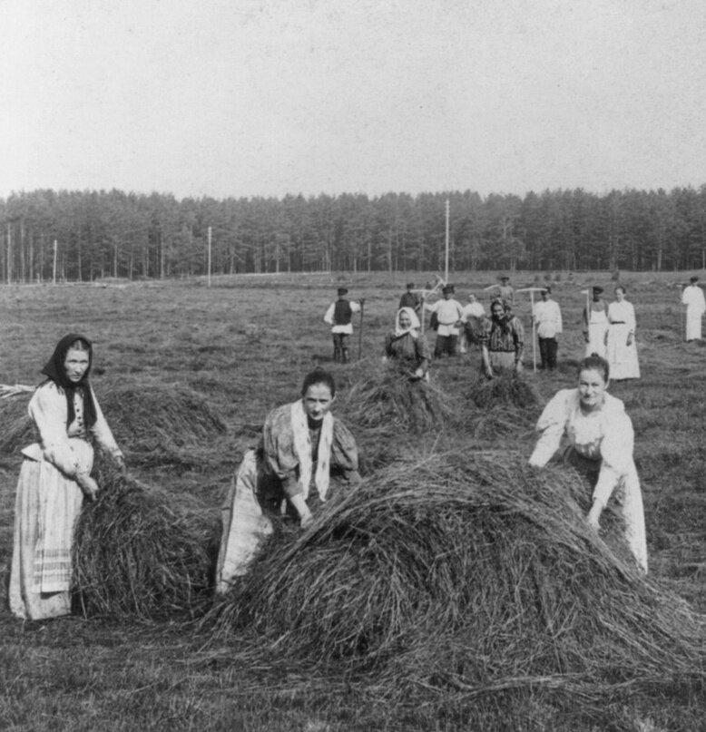 Голые женщины – красивые голые бабы и тетки на фото