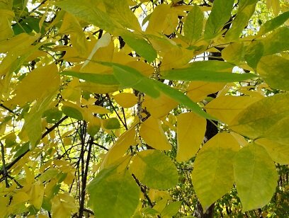 Фотография из личного архива автора